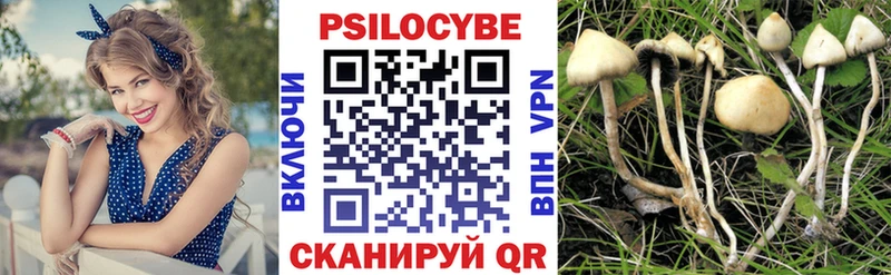 Псилоцибиновые грибы Psilocybe  MEGA tor  Нерехта 