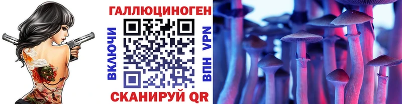 Псилоцибиновые грибы Cubensis Нерехта